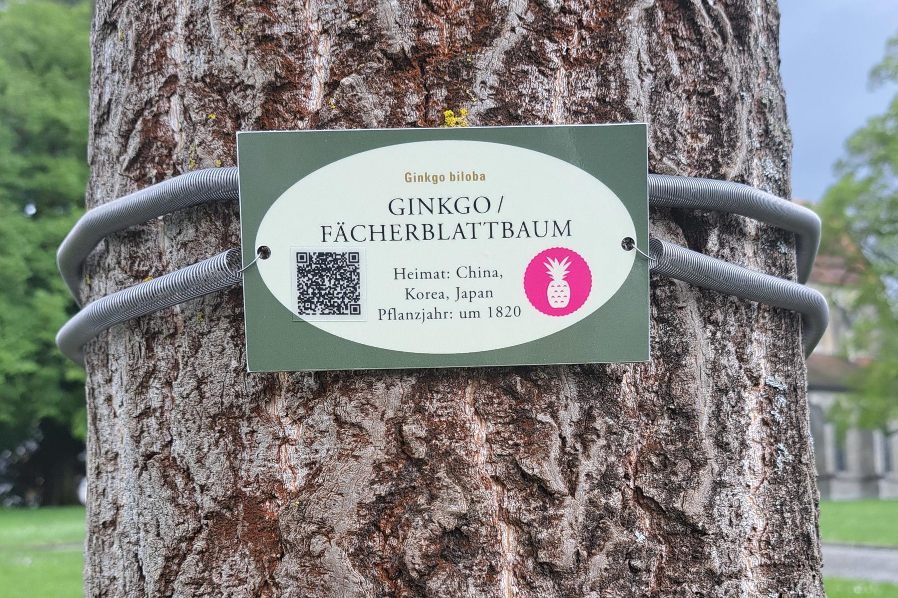 Kloster und Schloss Salem, Schild an einem Exoten 