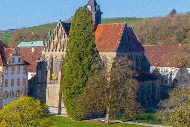 Kloster und Schloss Salem, Thuja