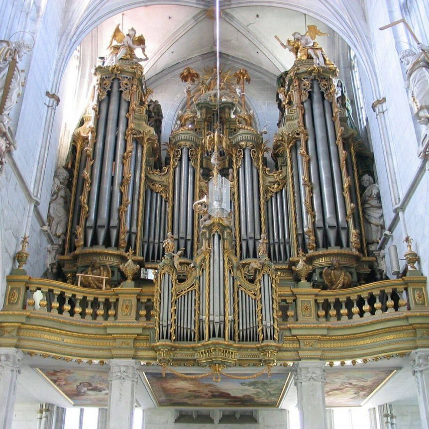 Kloster und Schloss Salem, Dreifaltigkeitsorgel im Münster